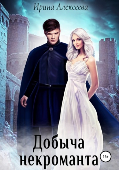 Добыча некроманта - Ирина Алексеева Слушать аудио книги онлайн без регистрации полностью бесплатно - knigavkarmane.net