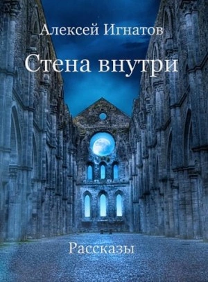 Стена внутри - Алексей Игнатов Слушать аудио книги онлайн без регистрации полностью бесплатно - knigavkarmane.net