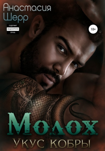 Молох. Укус кобры - Анастасия Шерр Слушать аудио книги онлайн без регистрации полностью бесплатно - knigavkarmane.net