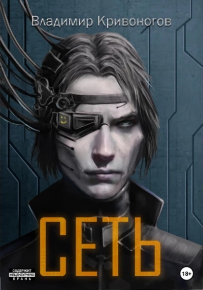 Сеть. Трилогия - Владимир Кривоногов Слушать аудио книги онлайн без регистрации полностью бесплатно - knigavkarmane.net