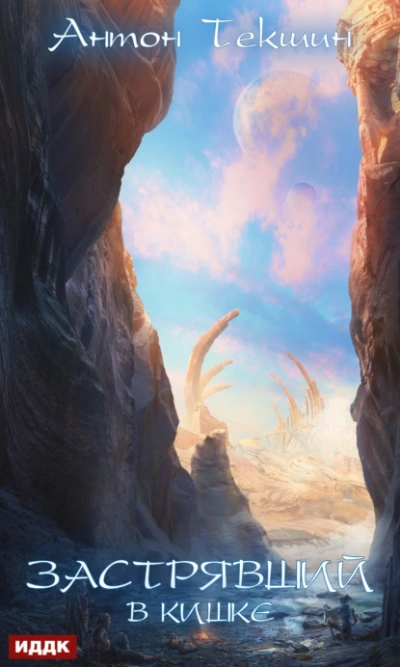 Застрявший в Кишке - Антон Текшин Слушать аудио книги онлайн без регистрации полностью бесплатно - knigavkarmane.net