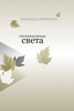 Проникновение света - Зинаида Миркина Слушать аудио книги онлайн без регистрации полностью бесплатно - knigavkarmane.net