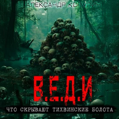 В.Е.Д.И. - Александр Корулин Слушать аудио книги онлайн без регистрации полностью бесплатно - knigavkarmane.net