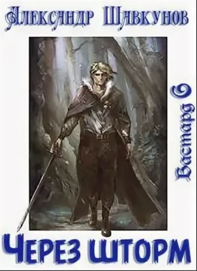 Через шторм - Александр Шавкунов Слушать аудио книги онлайн без регистрации полностью бесплатно - knigavkarmane.net