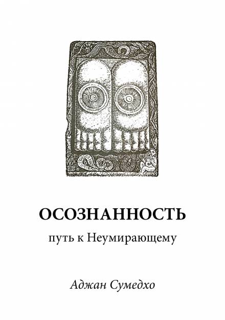 Осознанность путь к Неумирающему - Аджан Сумедхо Слушать аудио книги онлайн без регистрации полностью бесплатно - knigavkarmane.net