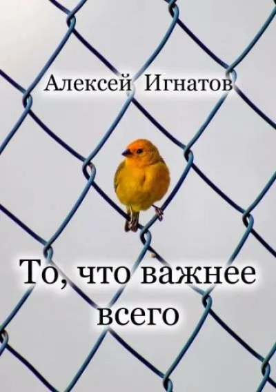 То, что важнее всего - Алексей Игнатов Слушать аудио книги онлайн без регистрации полностью бесплатно - knigavkarmane.net