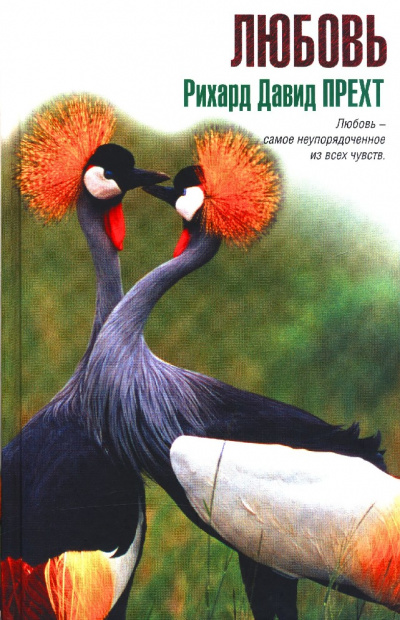 Любовь - Рихард Давид Прехт Слушать аудио книги онлайн без регистрации полностью бесплатно - knigavkarmane.net