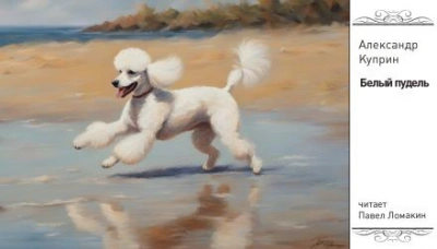 Белый пудель - Александр Куприн Слушать аудио книги онлайн без регистрации полностью бесплатно - knigavkarmane.net