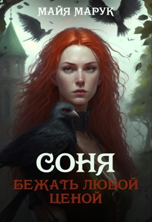 Соня. Бежать любой ценой - Майя Марук Слушать аудио книги онлайн без регистрации полностью бесплатно - knigavkarmane.net