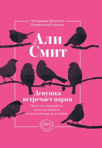 Девушка встречает парня - Али Смит Слушать аудио книги онлайн без регистрации полностью бесплатно - knigavkarmane.net