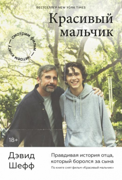 Красивый мальчик. Правдивая история отца, который боролся за сына - Дэвид Шефф Слушать аудио книги онлайн без регистрации полностью бесплатно - knigavkarmane.net
