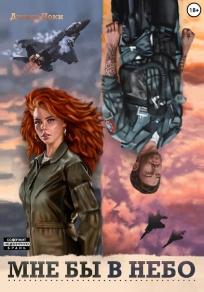 Мне бы в небо - Джэки Иоки Слушать аудио книги онлайн без регистрации полностью бесплатно - knigavkarmane.net
