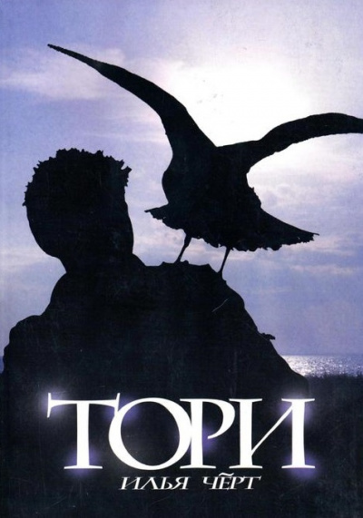 Тори - Илья Черт Слушать аудио книги онлайн без регистрации полностью бесплатно - knigavkarmane.net