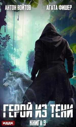 Герой из тени. Книга 3 - Агата Фишер, Антон Войтов Слушать аудио книги онлайн без регистрации полностью бесплатно - knigavkarmane.net