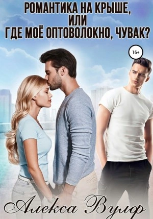 Романтика на крыше, или Где моё оптоволокно, чувак? - Алекса Вулф Слушать аудио книги онлайн без регистрации полностью бесплатно - knigavkarmane.net
