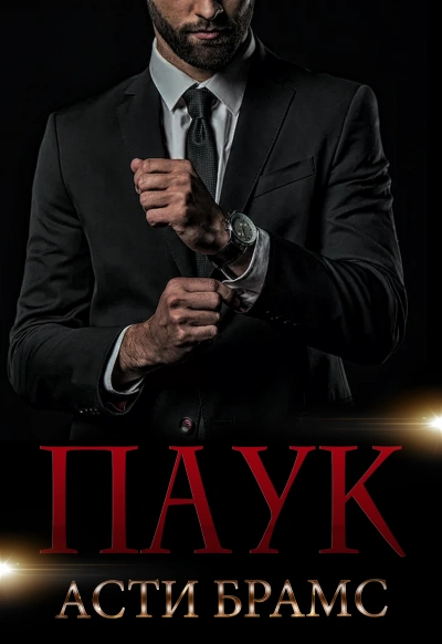 Паук бонус - Asti Brams Слушать аудио книги онлайн без регистрации полностью бесплатно - knigavkarmane.net