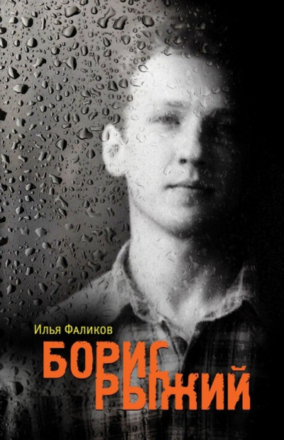 Борис Рыжий. Дивий Камень - Илья Фаликов Слушать аудио книги онлайн без регистрации полностью бесплатно - knigavkarmane.net