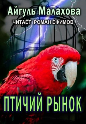 Птичий рынок - Айгуль Малахова Слушать аудио книги онлайн без регистрации полностью бесплатно - knigavkarmane.net