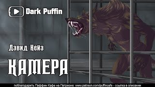 Камера - Джон Кейз Слушать аудио книги онлайн без регистрации полностью бесплатно - knigavkarmane.net