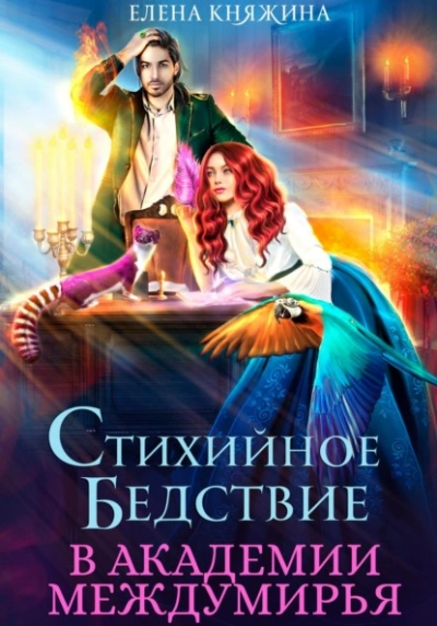 Стихийное бедствие в Академии Междумирья - Елена Княжина Слушать аудио книги онлайн без регистрации полностью бесплатно - knigavkarmane.net