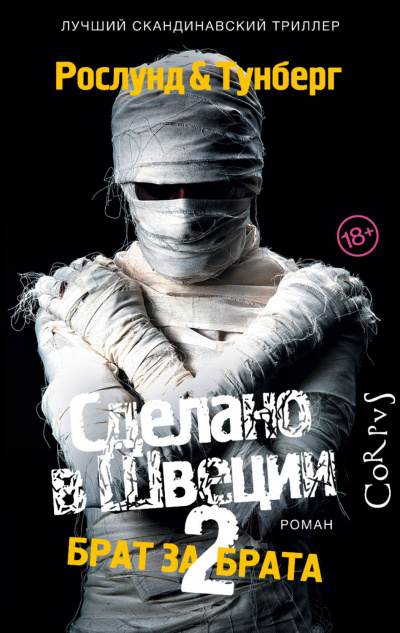 Брат за брата - Андерс Рослунд, Стефан Тунберг Слушать аудио книги онлайн без регистрации полностью бесплатно - knigavkarmane.net