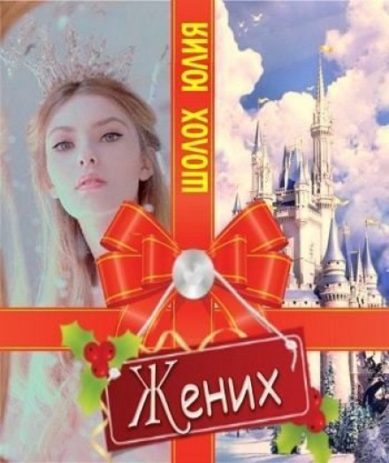 Жених - Юлия Шолох Слушать аудио книги онлайн без регистрации полностью бесплатно - knigavkarmane.net