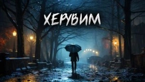 Херувим - Евгений Шиков Слушать аудио книги онлайн без регистрации полностью бесплатно - knigavkarmane.net
