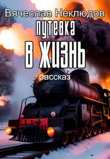 Путевка в жизнь - Вячеслав Неклюдов Слушать аудио книги онлайн без регистрации полностью бесплатно - knigavkarmane.net