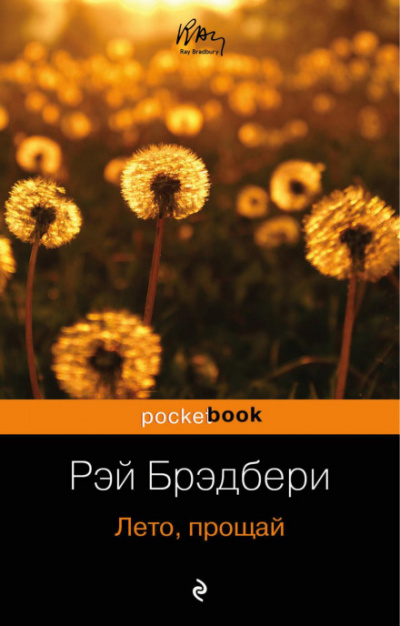 Лето, прощай - Рэй Брэдбери Слушать аудио книги онлайн без регистрации полностью бесплатно - knigavkarmane.net