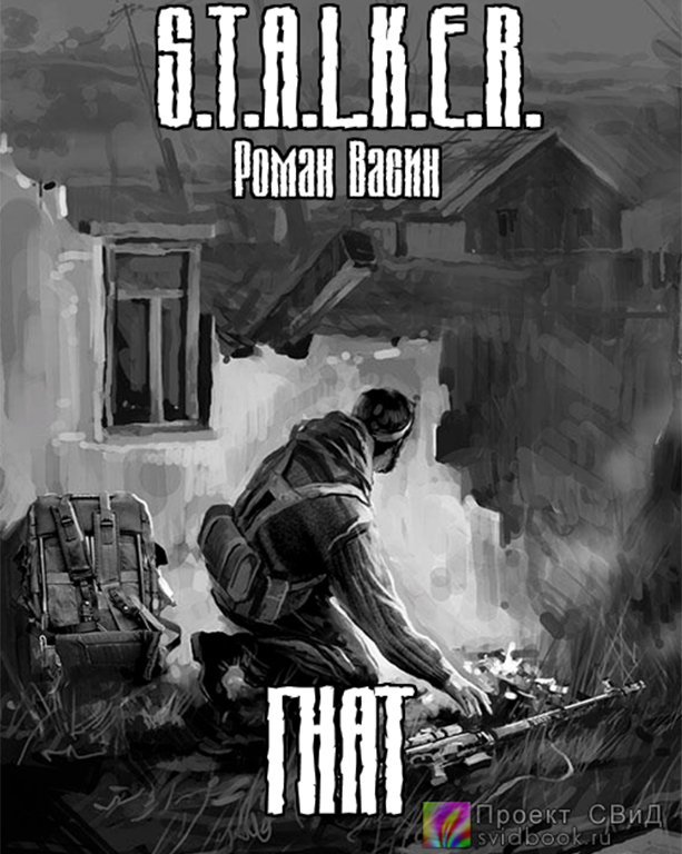 Гнат ( S.T.A.L.K.E.R.) - Роман Васин Слушать аудио книги онлайн без регистрации полностью бесплатно - knigavkarmane.net