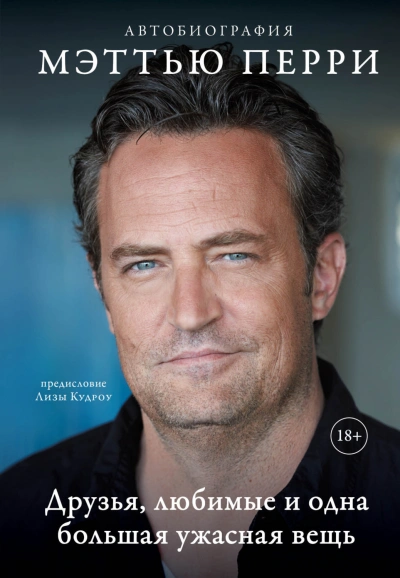 Друзья, любимые и одна большая ужасная вещь - Мэттью Перри Слушать аудио книги онлайн без регистрации полностью бесплатно - knigavkarmane.net