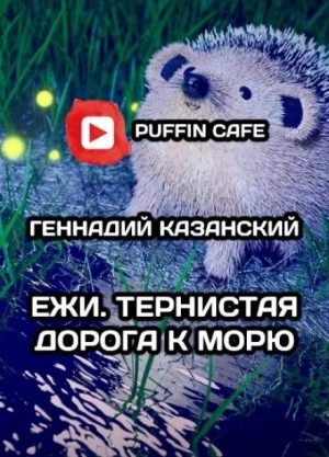 Ежи. Тернистая дорога к морю - Геннадий Казанский Слушать аудио книги онлайн без регистрации полностью бесплатно - knigavkarmane.net