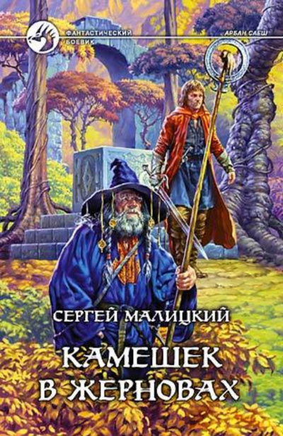 Камешек в жерновах - Сергей Малицкий Слушать аудио книги онлайн без регистрации полностью бесплатно - knigavkarmane.net