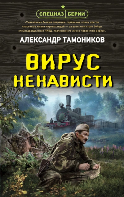 Вирус ненависти - Александр Тамоников Слушать аудио книги онлайн без регистрации полностью бесплатно - knigavkarmane.net
