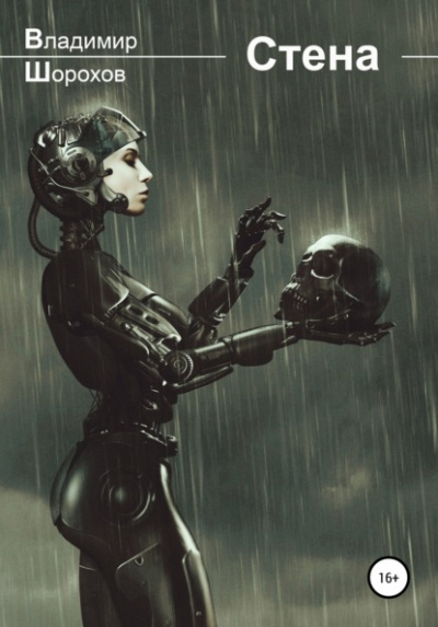 Стена - Владимир Шорохов Слушать аудио книги онлайн без регистрации полностью бесплатно - knigavkarmane.net