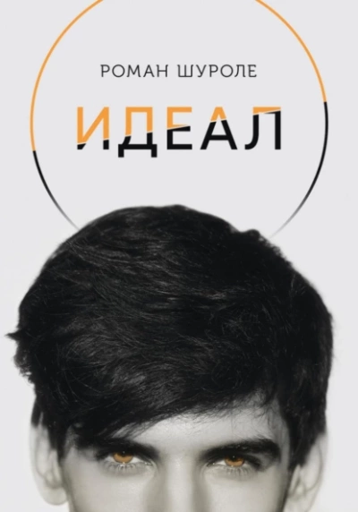 Идеал - Роман Шуроле Слушать аудио книги онлайн без регистрации полностью бесплатно - knigavkarmane.net