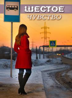 Шестое чувство - Ирина Стахеева Слушать аудио книги онлайн без регистрации полностью бесплатно - knigavkarmane.net