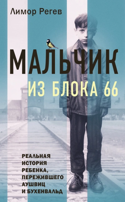Мальчик из Блока 66. Реальная история ребенка, пережившего Аушвиц и Бухенвальд - Лимор Регев Слушать аудио книги онлайн без регистрации полностью бесплатно - knigavkarmane.net