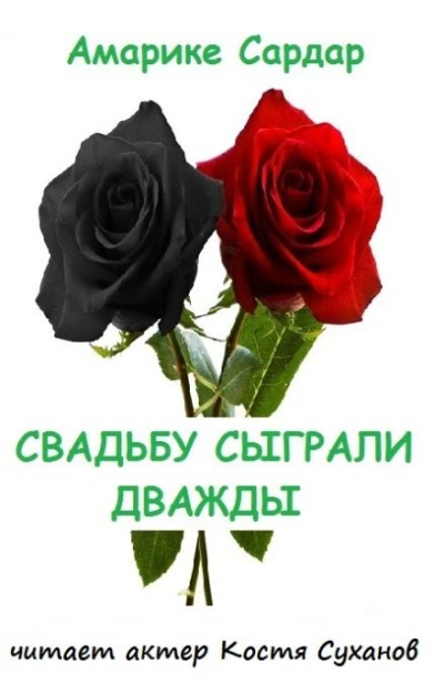 Свадьбу сыграли дважды - Амарике Сардар Слушать аудио книги онлайн без регистрации полностью бесплатно - knigavkarmane.net
