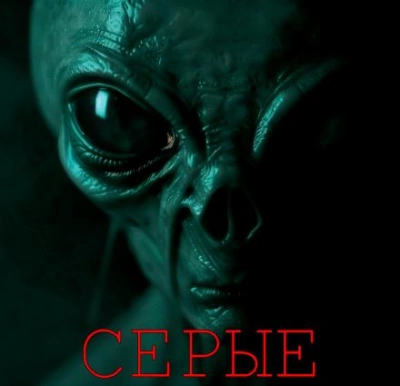 Серые - Алексей Грибанов Слушать аудио книги онлайн без регистрации полностью бесплатно - knigavkarmane.net