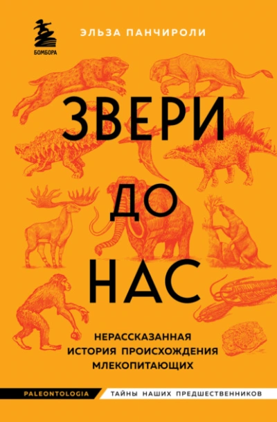 Звери до нас. Нерассказанная история происхождения млекопитающих - Эльза Панчироли Слушать аудио книги онлайн без регистрации полностью бесплатно - knigavkarmane.net