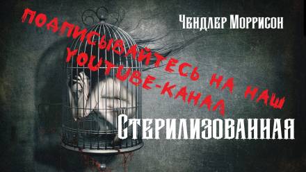 Стерилизованная - Чендлер Моррисон Слушать аудио книги онлайн без регистрации полностью бесплатно - knigavkarmane.net