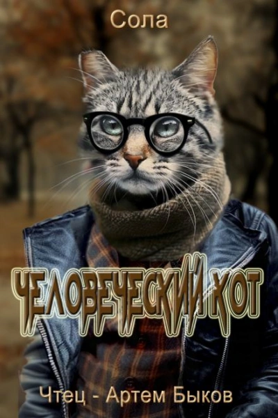 Человеческий кот - Сола Слушать аудио книги онлайн без регистрации полностью бесплатно - knigavkarmane.net