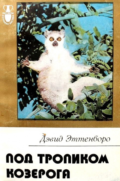 Под тропиком козерога - Дэвид Эттенборо Слушать аудио книги онлайн без регистрации полностью бесплатно - knigavkarmane.net