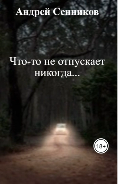 Что-то не отпускает никогда - Андрей Сенников Слушать аудио книги онлайн без регистрации полностью бесплатно - knigavkarmane.net