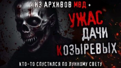 Кто-то спустился по лунному свету - Олег Новгородов Слушать аудио книги онлайн без регистрации полностью бесплатно - knigavkarmane.net
