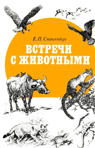 Встречи с животными - Евгений Спангенберг Слушать аудио книги онлайн без регистрации полностью бесплатно - knigavkarmane.net