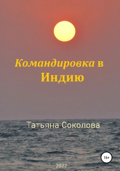 Командировка в Индию - Татьяна Соколова Слушать аудио книги онлайн без регистрации полностью бесплатно - knigavkarmane.net