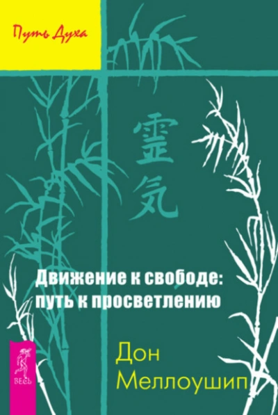 Движение к свободе: путь к просветлению - Дон Меллоушип Слушать аудио книги онлайн без регистрации полностью бесплатно - knigavkarmane.net