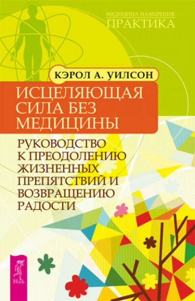 Исцеляющая сила без медицины. Руководство к преодолению жизненных препятствий и возвращению радости - Кэрол Уилсон Слушать аудио книги онлайн без регистрации полностью бесплатно - knigavkarmane.net
